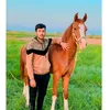 حسن القيسي