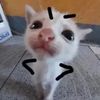 sillygirlll_pfft