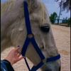 user8500518330362