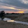 alfars3384