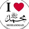 meer_amir_meerani