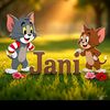 jani.khan4245