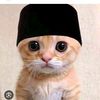 aditya__204