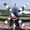 rexnamo8