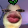 lancedupuge