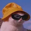 mgabidcv