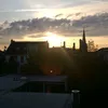 tbbfox