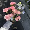norrivanna0309