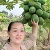 quynhtho65
