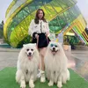 do_quyen838