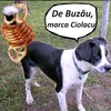 mali3336bau