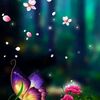 shroog373