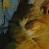 why.you_