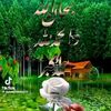 user279295480448