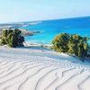 ashooka3