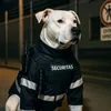 nadjapidypitbull