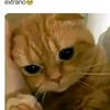 l......123828382