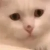 justm3h4v1ngfun