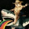 catcowboy911