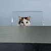 icecatspb2