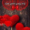 im_1091