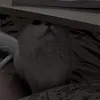 tqrnl