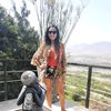 meligisell