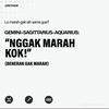 justalpraz