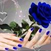 salomebella635