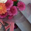 lovelysabio3