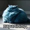 batin_borsh