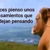 dimaelrojas
