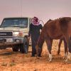 هواي البر فهد