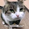 diego.jara_