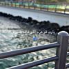 rahaff034
