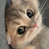 kuki_chb
