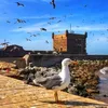 rachida_essaouira