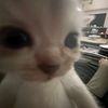 djievers_24