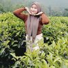 nakulasadewa513