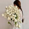 shadya7040221644096