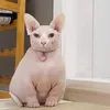 zerno_pus