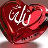 saidsaadoo1