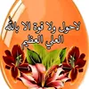 salah.xoshnaw439