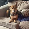 santo_2734