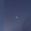 anythingelsee__