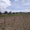 njenganjeri78