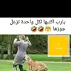 kemus0400552667605
