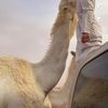 saaad_305