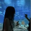 x.noura.a