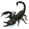 escorpiona008